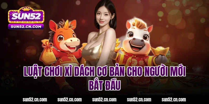 Luật chơi xì dách cơ bản cho người mới bắt đầu tại Sun52